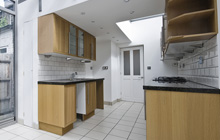 Dodbrooke kitchen extension leads